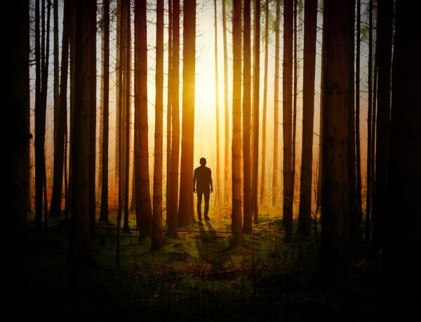 man, forest, sunlight, woods, trees, dark, sunshine, nature, landscape, man, man, man, man, man, forest, forest, forest, dark, dark, sunshine, sunshine